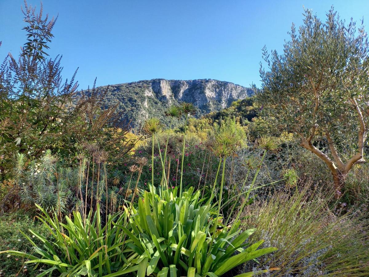 Gîte en Cévennes du sud, bergerie restaurée, 2 à 4 personnes, piscine, vue exceptionnelle, authenticité et confort Saint-Laurent-le-Minier Extérieur photo